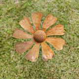 Rusty chamomilev