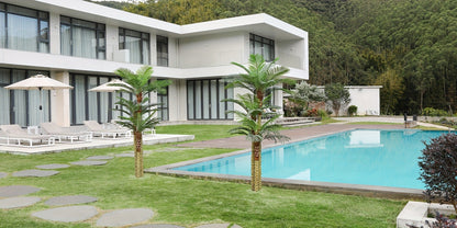Artificial Palm Tree with Potted Base in 8 or 10 Foot Heights and Layered Golden Cane-Style Trunks