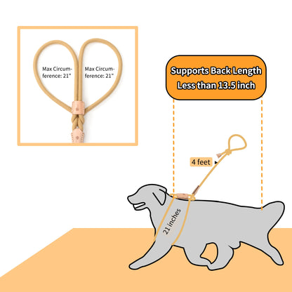 Dog Slip Leash and Harness 2-in-1 Rope Lead – No Pull All-in-One Training Leash for Puppies & Small Dogs, Adjustable Slip Lead with Soft