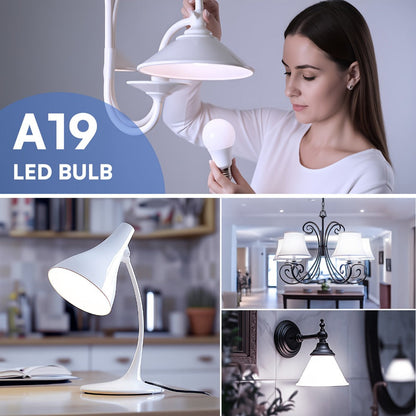 3-Way LED Light Bulb A19 40 60 100W Equivalent 1500 Lumens E26 Base – Soft White 2700K & Daylight 5000K Three-Way Bulb for Bedroom Living