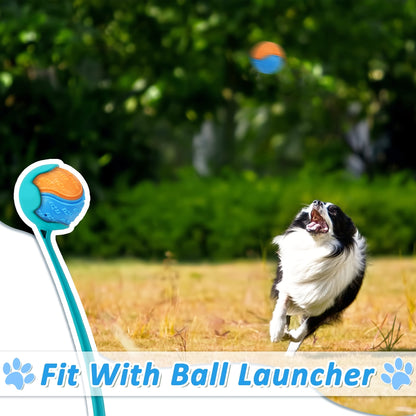 Squeaky Dog Balls High Bounce 2.5in Chew Teething Toy for Dogs – Durable Rubber Interactive Play & Training Ball Compatible with Ball