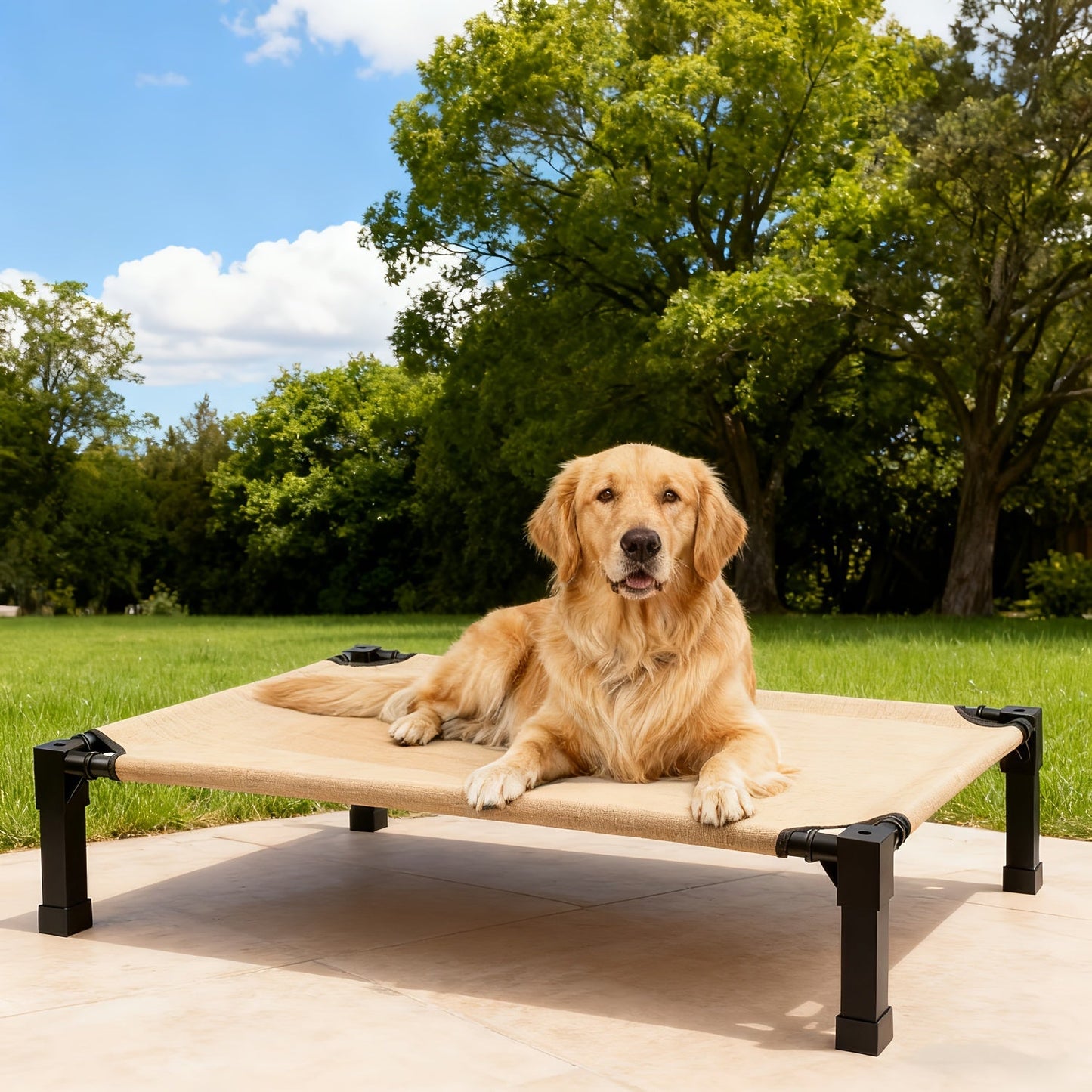 Elevated Mesh Dog Cot Bed with Folding-Leg Frame, Seven Colors and Four Labeled Sizes from 35 to 60 Inches