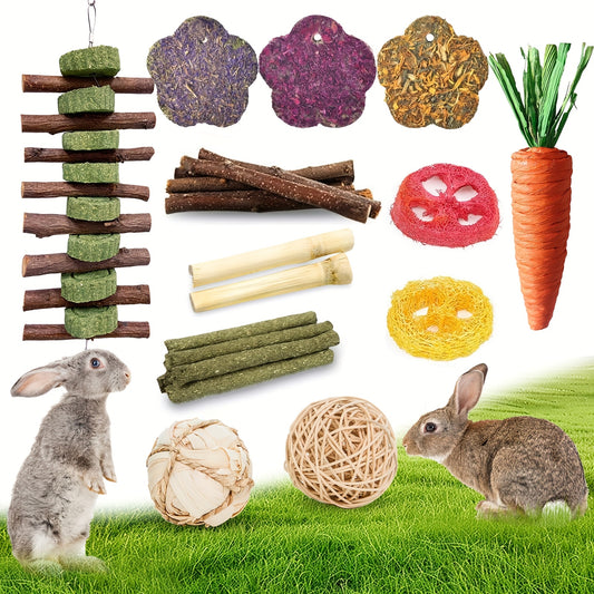 Small Animal Dental Treats 21pcs – Natural Timothy Hay Variety Set with Hay Sticks, Timothy Cakes & Carrot Strawberry Treats for Rabbits