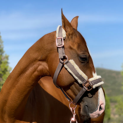 Horse Halter with Detachable Faux Fur Band & Glossy Buckle – Adjustable Head Collar for Horses, Available in 15 Colors & 3 Sizes FULL COB