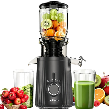 Masticating Juicer Cold Press - 4.25" Wide Feed Chute Auto-Feed Slow Juicer for Whole Fruits & Vegetables
