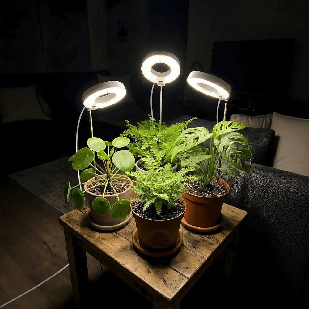 Full Spectrum LED Grow Lights for Indoor Plants, 3-Pack with Auto Timer 3/6/9H, 4 Dimmable Levels & Adjustable Height
