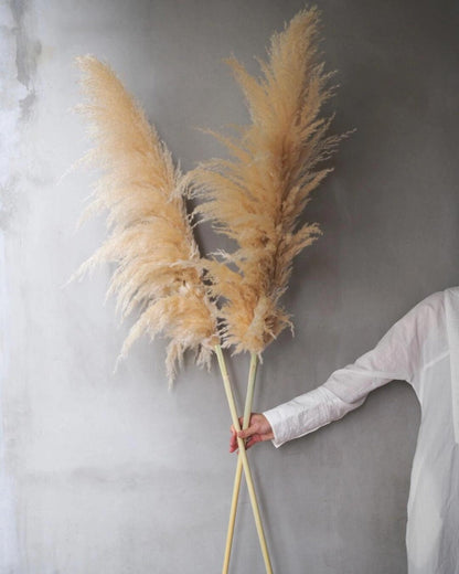 Pampas Grass Decor 10 Stalks 45 Inch Tall Natural Dried Fluffy Plumes for Floor Vase, Living Room
