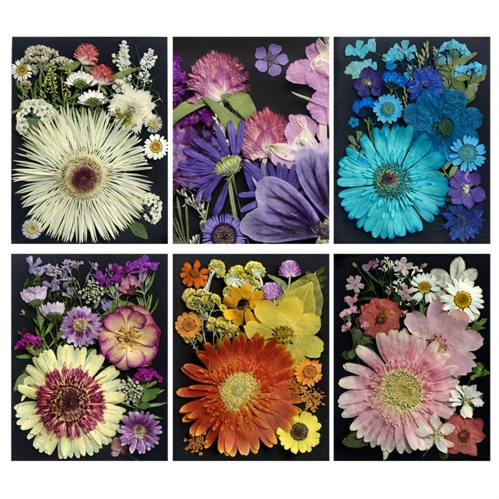 Dried Pressed Flowers for Resin 60pcs Real Pressed Flowers Dry Leaves Bulk Natural Herbs Kit for Scrapbooking DIY Art Crafts