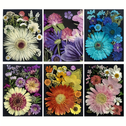Dried Pressed Flowers for Resin 60pcs Real Pressed Flowers Dry Leaves Bulk Natural Herbs Kit for Scrapbooking DIY Art Crafts