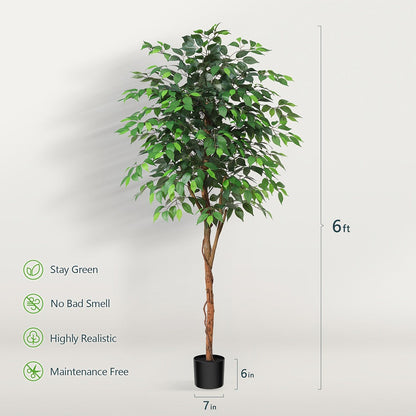 Artificial Ficus Tree with Braided Trunk, Full Green Canopy, Black Pot and 4, 5 or 6 ft Height Options