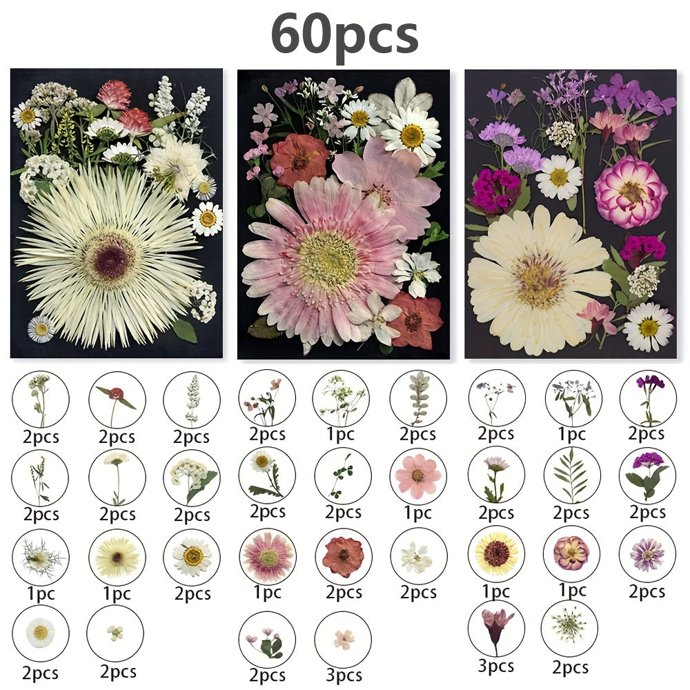 Dried Pressed Flowers for Resin 60pcs Real Pressed Flowers Dry Leaves Bulk Natural Herbs Kit for Scrapbooking DIY Art Crafts