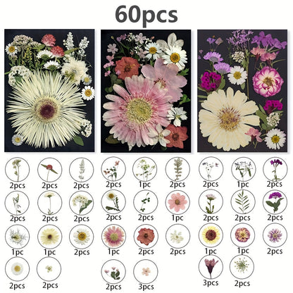 Dried Pressed Flowers for Resin 60pcs Real Pressed Flowers Dry Leaves Bulk Natural Herbs Kit for Scrapbooking DIY Art Crafts
