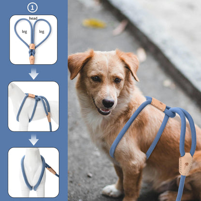 Dog Slip Leash and Harness 2-in-1 Rope Lead – No Pull All-in-One Training Leash for Puppies & Small Dogs, Adjustable Slip Lead with Soft