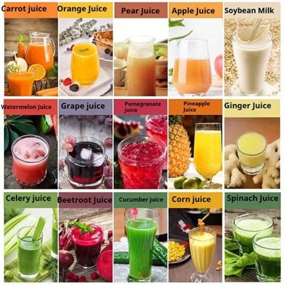 Two-Option Centrifugal Juicer Listing with Distinct Ordinary Paragraph and Juicer Body Mappings