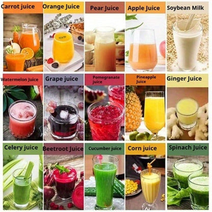 Two-Option Centrifugal Juicer Listing with Distinct Ordinary Paragraph and Juicer Body Mappings