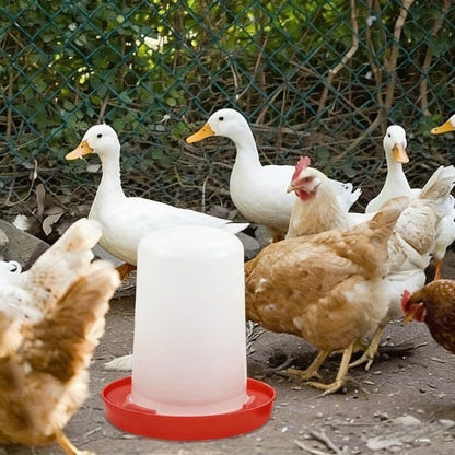 Chicken Feeder and Waterer Set, 18-Hole Anti-Spoil Trough Feeder + Water Dispenser for Chicks, Brooder & Backyard Poultry