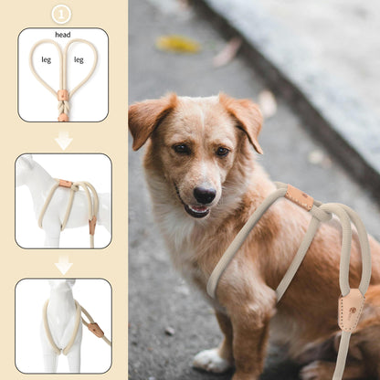 Dog Slip Leash and Harness 2-in-1 Rope Lead – No Pull All-in-One Training Leash for Puppies & Small Dogs, Adjustable Slip Lead with Soft