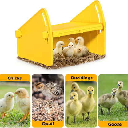 Chick Brooder Plate with Adjustable Height for Up to 10 Chicks, Poultry Warmer for Ducklings, Turkeys