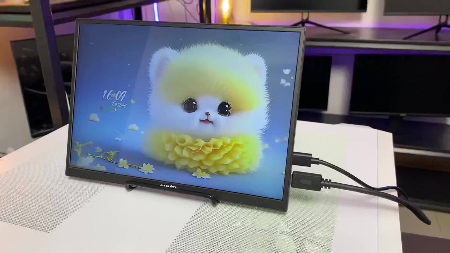 Anmite 10.5" IPS Portable Monitor 1280P 100% sRGB USB-C for an Everyday Personal Care Routine