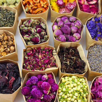 Dried Flowers Craft Set 24 Packs Natural Dried Botanicals for Resin Jewelry Making DIY Candle for Bath Time, Home Spa and Personal Care