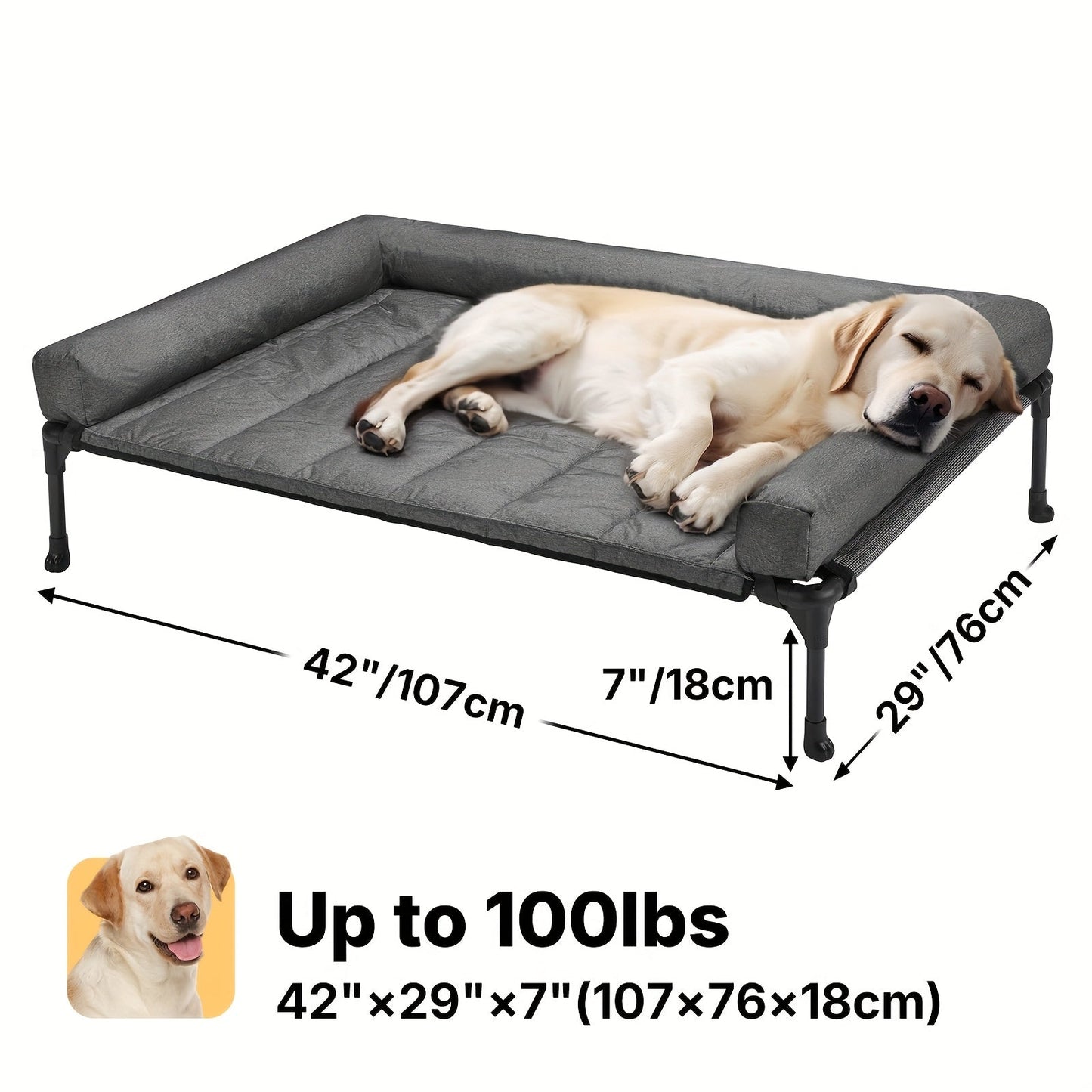 Elevated Dog Bed with Teslin Mesh Cot, Powder-Coated Steel Frame and Removable Bolster Top in Four Sizes