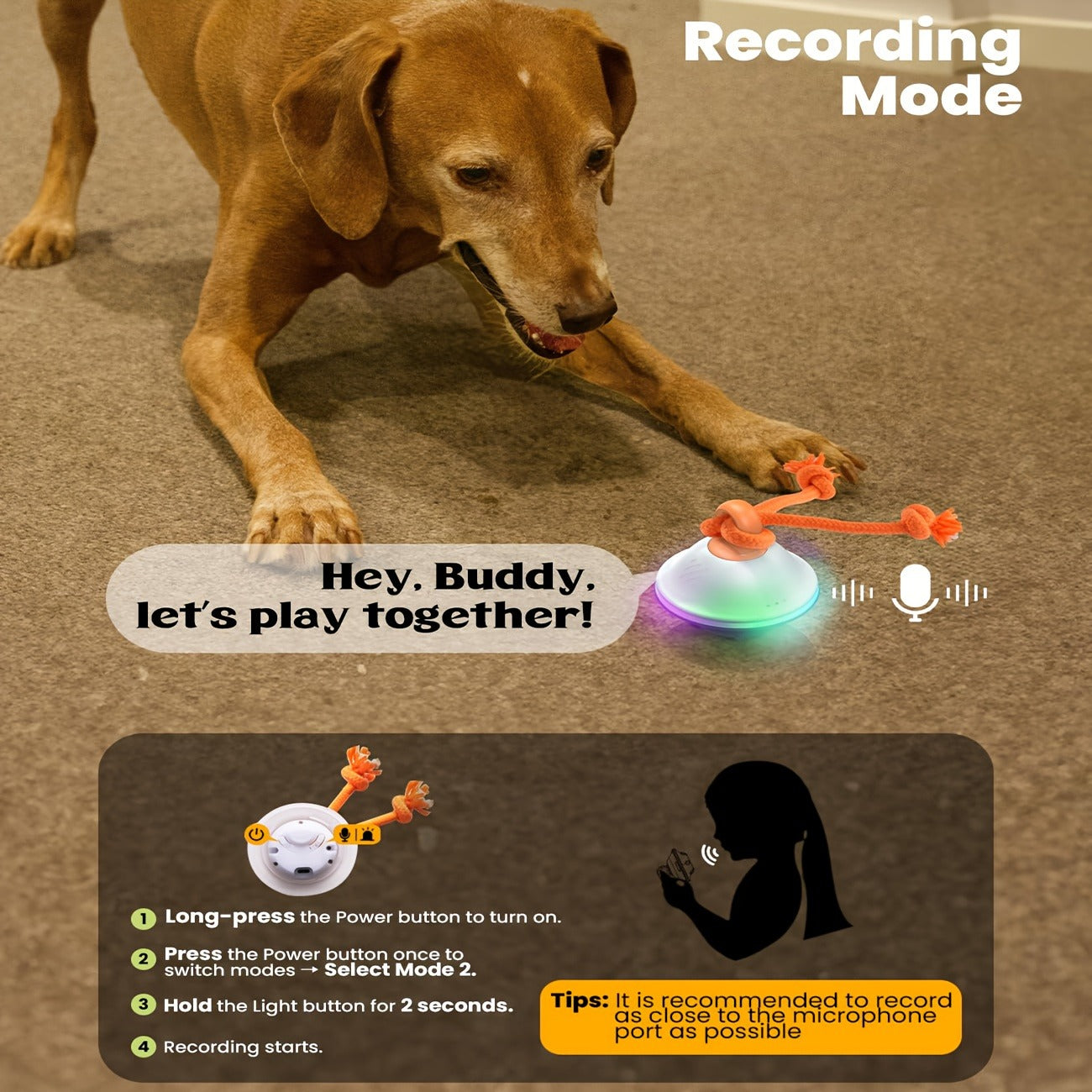 Automatic Rolling Dog Ball Toy with Rope – Motion-Activated Wicked Ball with Voice Recording, Interactive Self-Moving Stimulation Toy