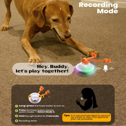 Automatic Rolling Dog Ball Toy with Rope – Motion-Activated Wicked Ball with Voice Recording, Interactive Self-Moving Stimulation Toy