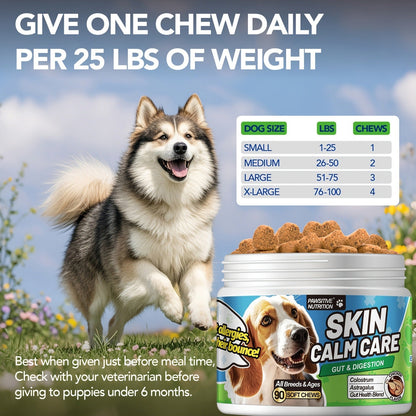 Dog Skin and Digestion Soft Chews with Colostrum, Fermentate and Astragalus, 90-Count Bottle