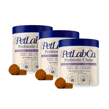 Dog Probiotic & Prebiotic Chewable Treats with Natural Ingredients – Supports Gut Health & Quality of Life for All Breeds