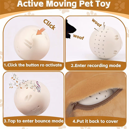 Dog Toy USB-Rechargeable Bouncing Character Ball with Recording and Music Modes in Five Styles