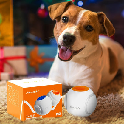 LED Light Up Dog Ball Toy Glow in the Dark – USB Rechargeable Motion-Activated Glowing Fetch Ball for Small Medium Dogs