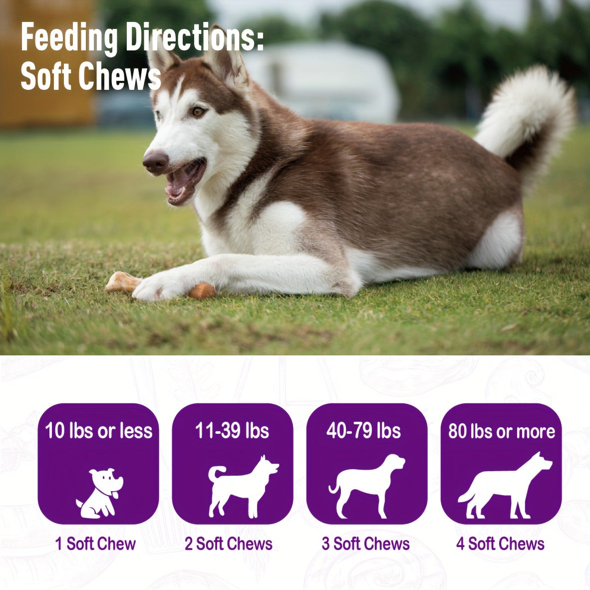 Dog Probiotic & Digestive Enzyme Chews with Prebiotics – Gut Health, Skin Sensitivity Support & Digestive Balance Soft Chew Supplement