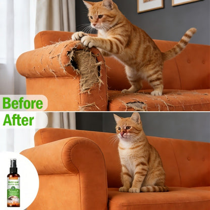 Cat Scratch Deterrent Spray for Furniture – Non-Toxic Pet Safe Anti-Scratch Training Spray, Protects Sofa Couch Carpet Door Wood Surfaces
