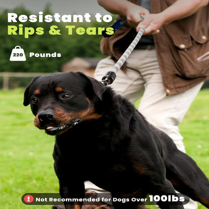 LED Dog Leash 4FT Light Up with 13 Lighting Modes & Tangle-Free Hook, Rechargeable Glow in the Dark Night Walking Leash