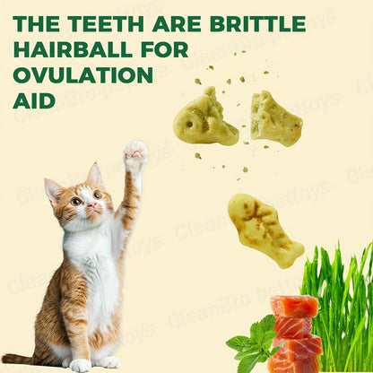 Catnip Cat Treats 150g – Catnip Cookie & Catgrass Molar Stick, Dried Fish Snack for Cats, Teeth Cleaning Dental Chew