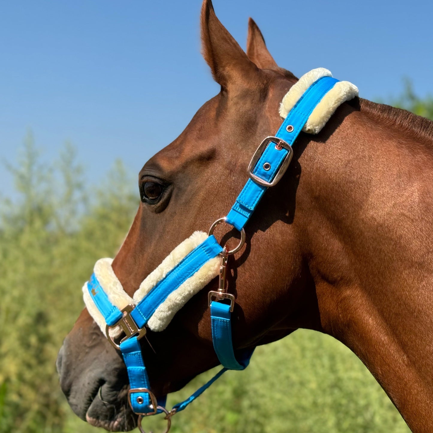 Horse Halter with Detachable Faux Fur Band & Glossy Buckle – Adjustable Head Collar for Horses, Available in 15 Colors & 3 Sizes FULL COB