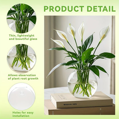 Wall Hanging Glass Terrarium Planter Oblate Flower Vase for Hydroponics Plants Bathroom Home Office Living Room Decor Set of 2/4/6