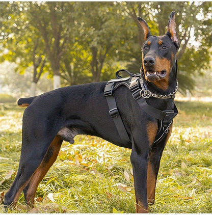 Compact Patch Dog Harness in Black and Three Green Styles with S, M, L and XL Size Options