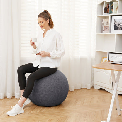 Fitness Equipment 65cm Exercise Ball with Fitted Fabric Cover Carry Handle Pump and Two Colors