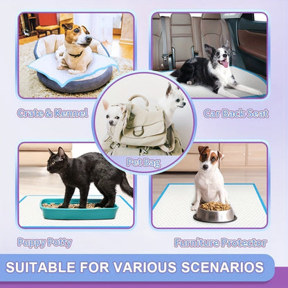 Six-Layer Disposable Pet Pads with 50, 101 or 200-Piece Pack Options and Blue-White Design
