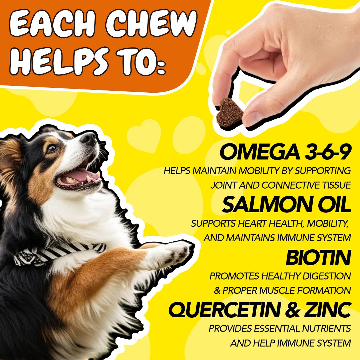 Omega 3 Dog Chews 90ct – 90-Day Supply Skin, Coat & Ear Care Supplement with Probiotics for Itchy Relief, All Ages