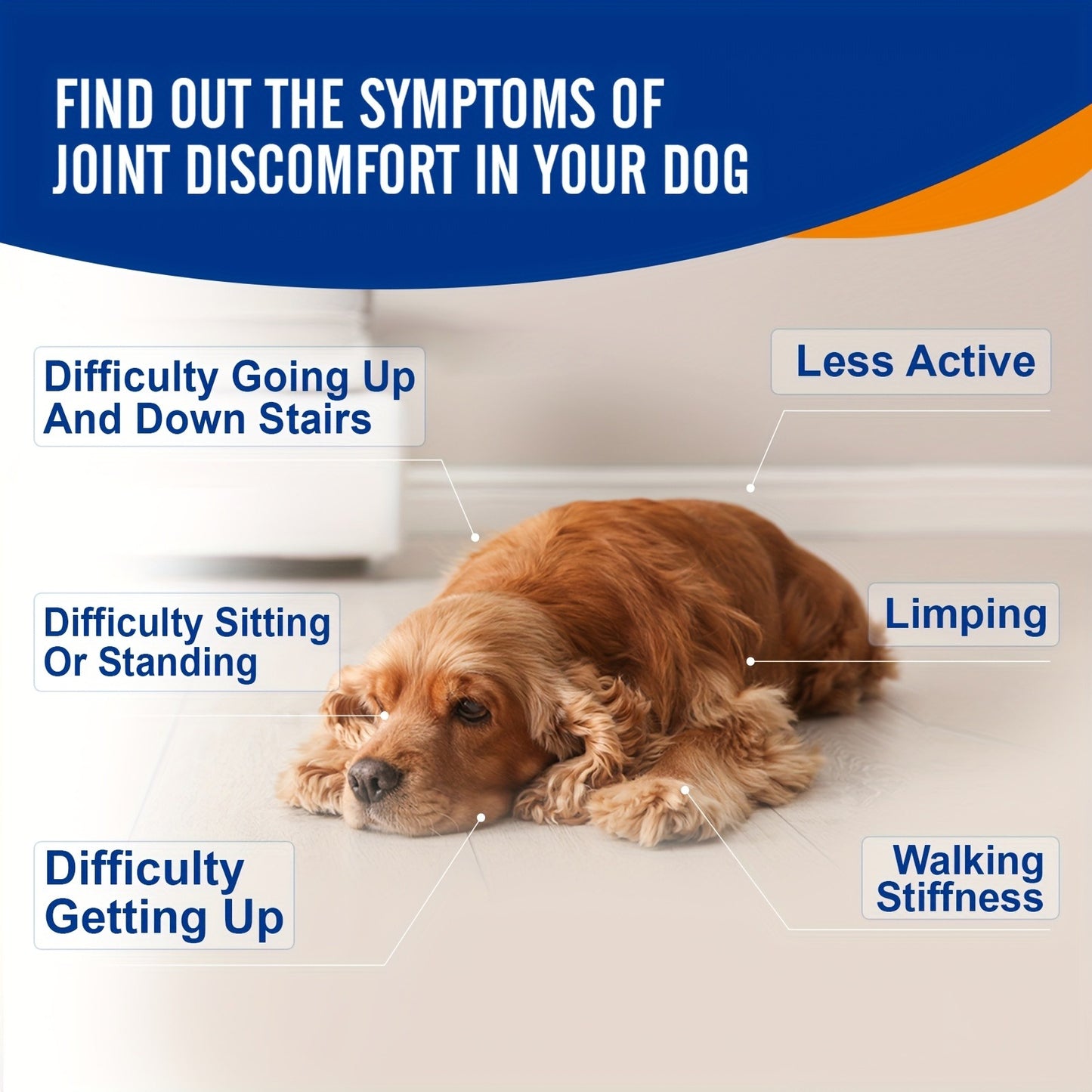 Dog Glucosamine Joint Supplement Chews 120ct | Chicken Flavor Soft Chews with Glucosamine, Chondroitin, MSM & Vitamins for Hip & Joint
