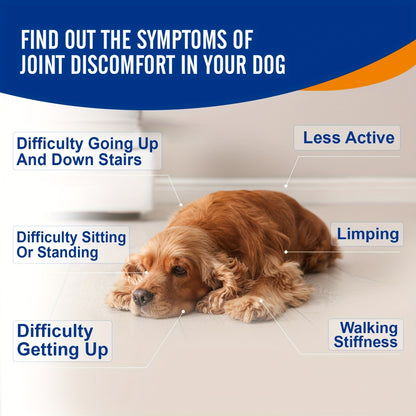 Dog Glucosamine Joint Supplement Chews 120ct | Chicken Flavor Soft Chews with Glucosamine, Chondroitin, MSM & Vitamins for Hip & Joint