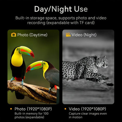 Black Digital Night Vision Binoculars without Memory Card, 2.8-Inch Screen, 10X Digital Zoom and Seven IR Levels