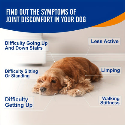 Chicken-Flavor Dog Supplement Soft Chews with Glucosamine, Chondroitin, MSM and Vitamins, 120 Count