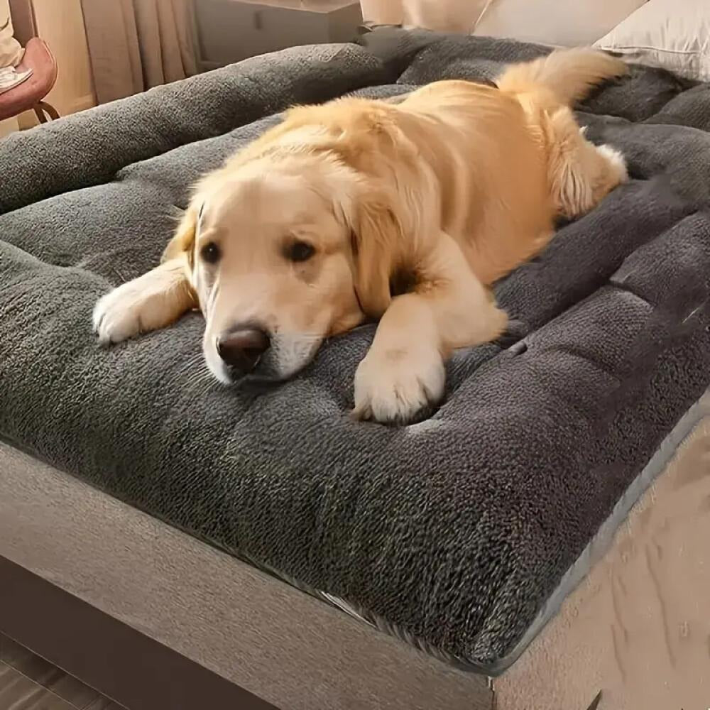 Rectangular Plush Dog Sofa Bed with Raised Bolsters, Gray L Checkout Option and Two-Surface Presentation