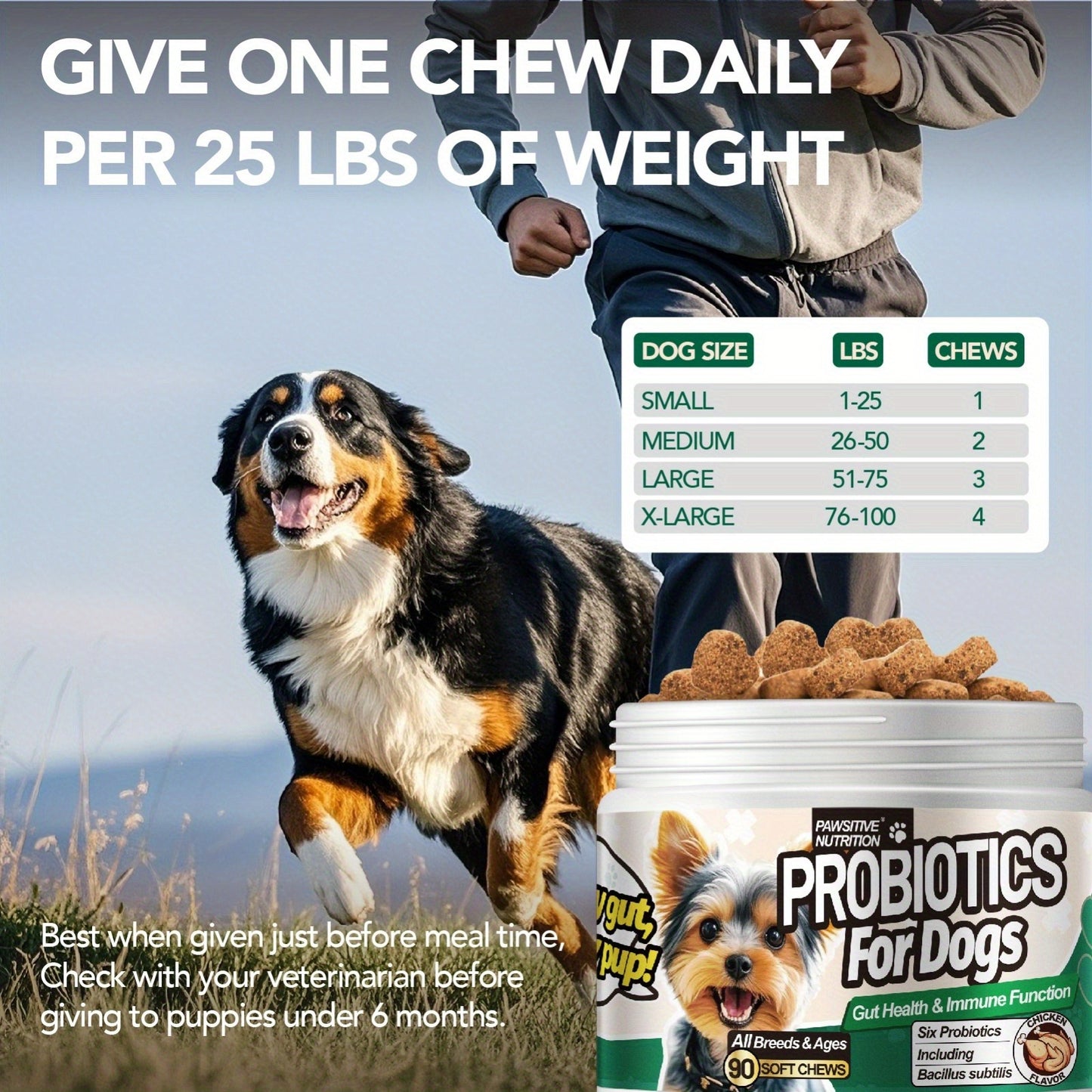 Dog Probiotic Chews for Digestive Health – Chicken Flavor Soft Chews with Probiotics for All Breeds, Supports Gut Health