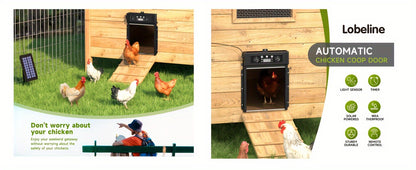 Automatic Chicken Coop Door Solar Powered – KA-200 Aluminum Alloy Auto Door with Timer, Light Sensor, Anti-Pinch Safety
