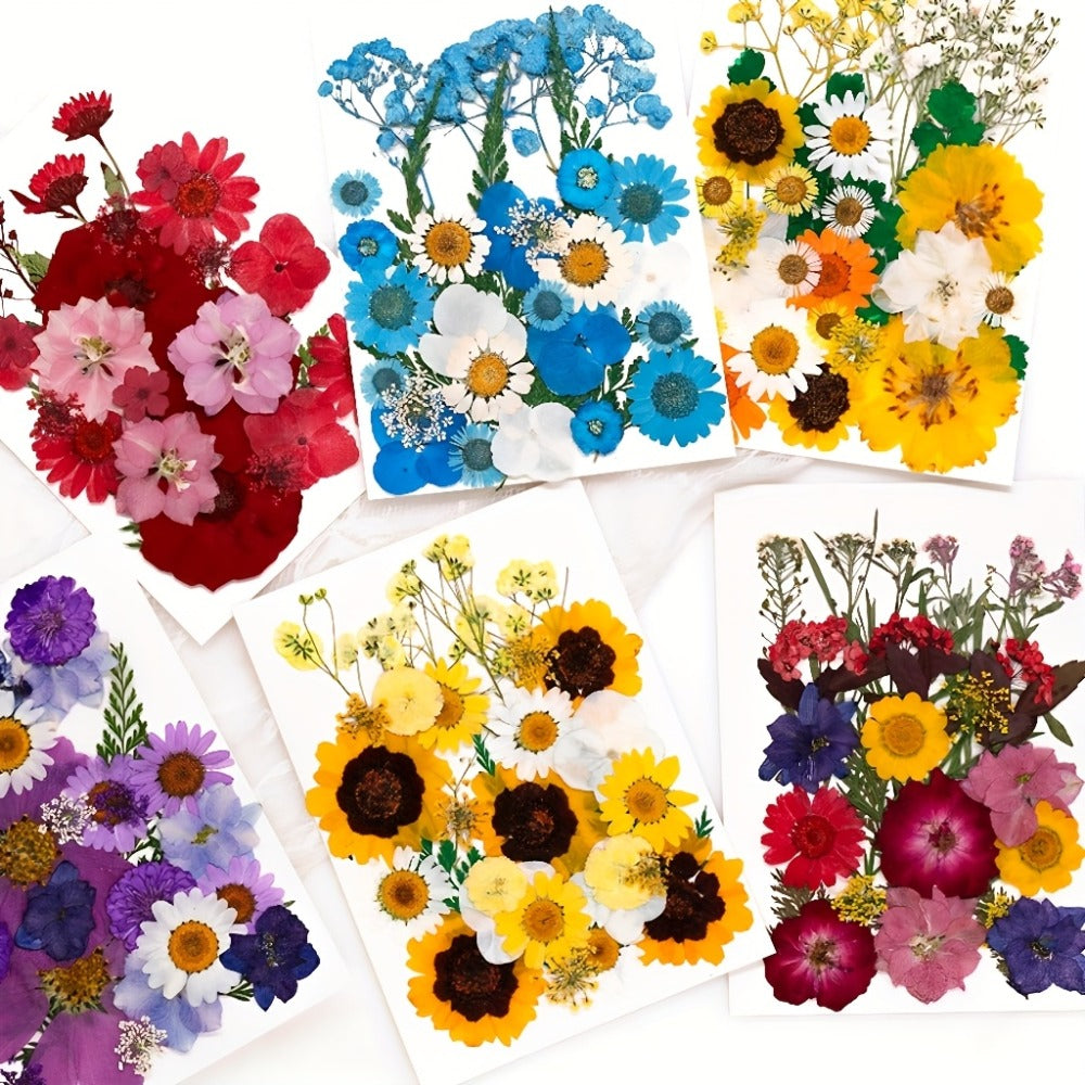 Dried Pressed Flowers Kit 500pcs – Natural Real Flower Petals & Leaves for Resin Art, Nail Art, Jewelry Making, Scrapbooking