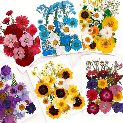 Dried Pressed Flowers Kit 500pcs – Natural Real Flower Petals & Leaves for Resin Art, Nail Art, Jewelry Making, Scrapbooking